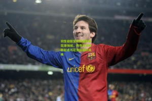 羽生结弦宣布转战职业花滑领域，传奇选手的新起点与花滑运动的未来