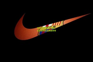 纳达尔法网夺冠 成就史无前例的大满贯传奇